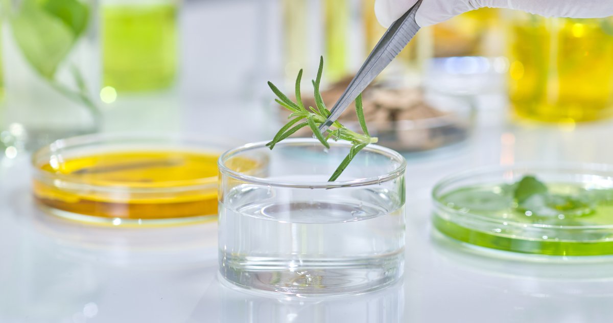 TheAchesonGroup's tweet image. Is it a food additive or flavouring? If you're confused by Health Canada's recategorization of food additives, TAG has the answers! link.achesongroup.com/additives-flav…

#HealthCanada #FoodRegulations #FoodAdditive #FoodSafety