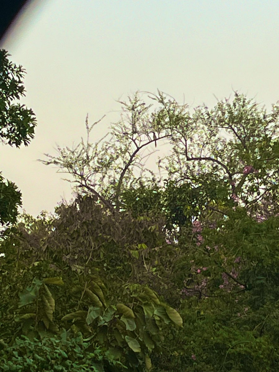 Neha Sinha tweet media