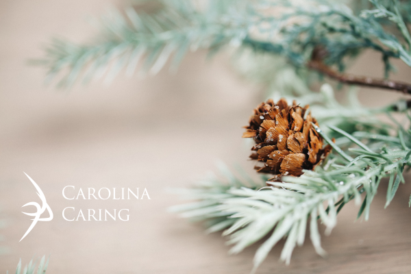 Carolina Caring tweet media