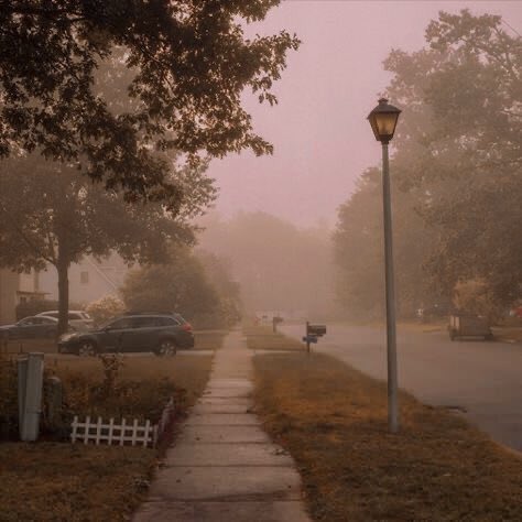 ㅤㅤㅤㅤ 

ㅤㅤㅤㅤ ゝ 𝓒𝐡𝐫𝐢𝐬𝐭𝐢𝐧𝐞 “𝓛𝐚𝐝𝐲 𝓑𝐢𝐫𝐝”
                    𝓜𝐜𝓟𝐡𝐞𝐫𝐬𝐨𝐧 ╱ Lady Bird ☼ 

ㅤㅤㅤㅤ