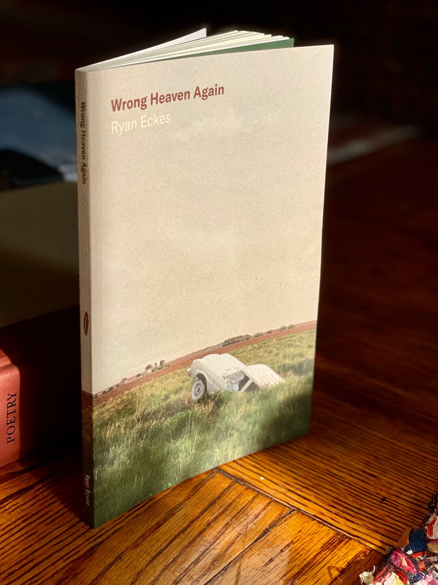 Birds, LLC tweet media