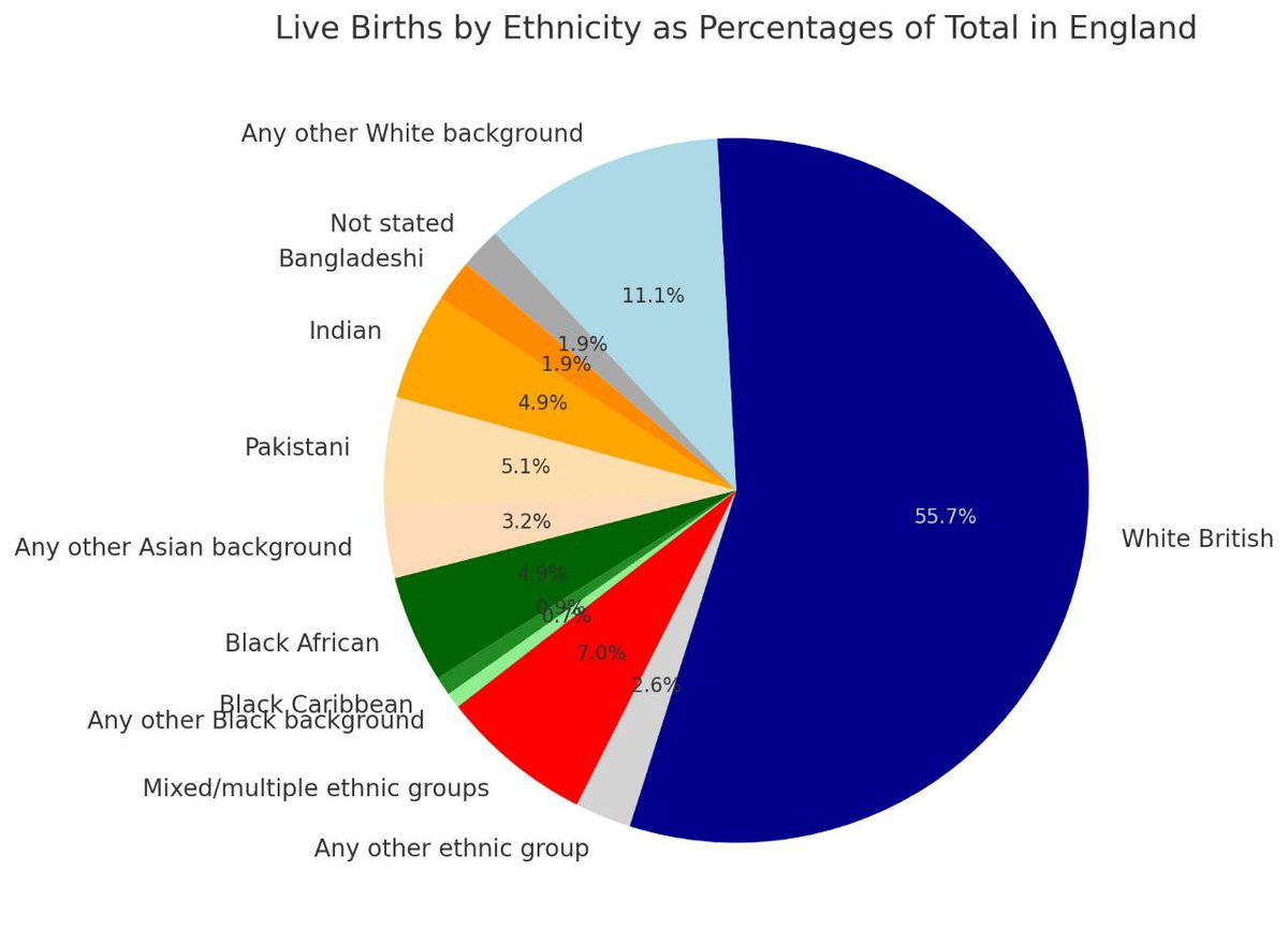 Steve_Laws_'s tweet photo. We will be a minority in our homeland by 2050. We have 25 years left.

Our children and grandchildren will be hated in their homelands. They will grow up without representation.

This isn't about politics. This is about survival. Remigration is the only way. https://t.co/gQgvgQdpMp
