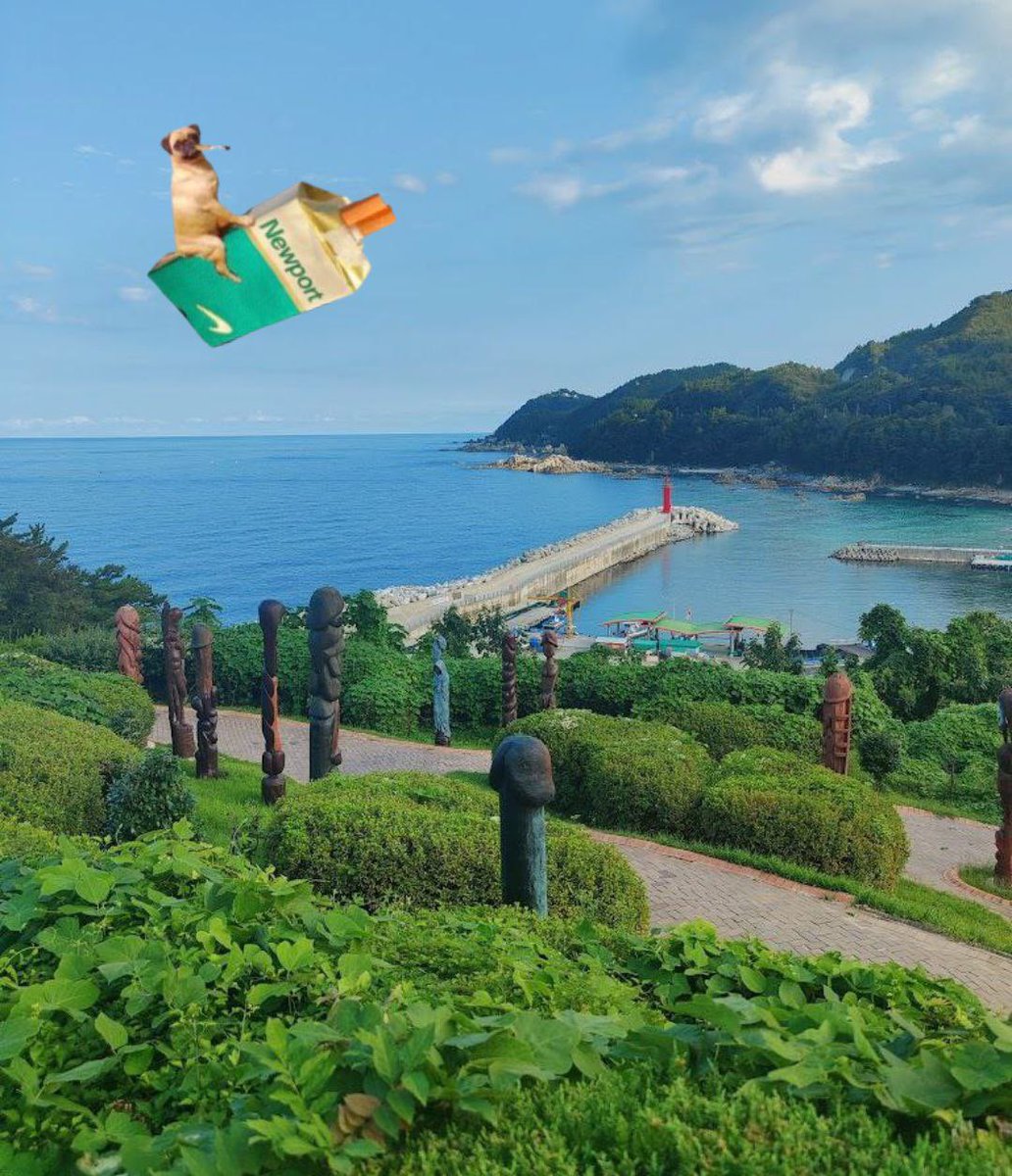 Smoking Boner Dog tweet media