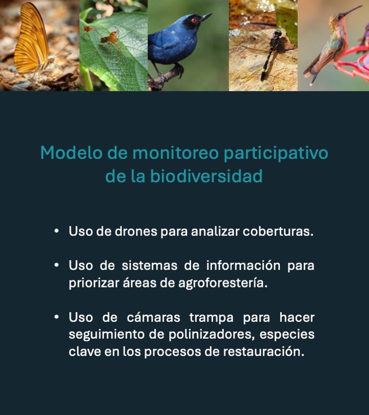 QuantilMA's tweet photo. 📈 Este proyecto fue reconocido como una de las iniciativas mejor evaluadas en la convocatoria NaturaTech LAC 2024. ¡Nos sentimos orgullosos de aportar al desarrollo sostenible de nuestra región! https://t.co/g5Xqy4xK0O
