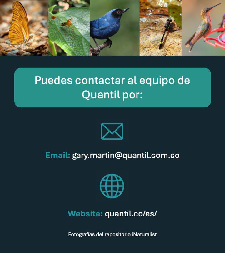 Quantil (@quantilma) on Twitter photo 📈 Este proyecto fue reconocido como una de las iniciativas mejor evaluadas en la convocatoria NaturaTech LAC 2024. ¡Nos sentimos orgullosos de aportar al desarrollo sostenible de nuestra región! 📈 Este proyecto fue reconocido como una de las iniciativas mejor evaluadas en la convocatoria NaturaTech LAC 2024. ¡Nos sentimos orgullosos de aportar al desarrollo sostenible de nuestra región!