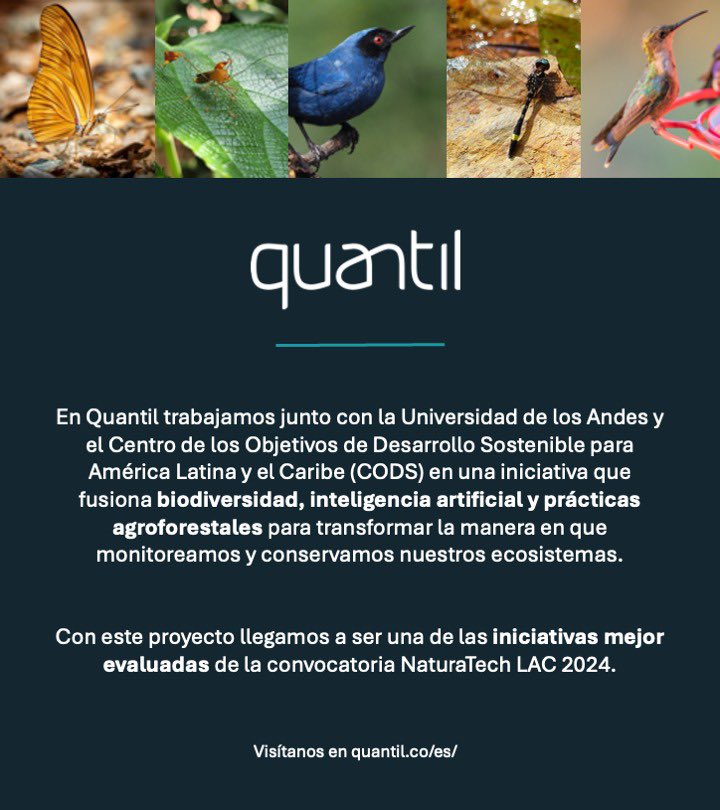 QuantilMA's tweet photo. 📈 Este proyecto fue reconocido como una de las iniciativas mejor evaluadas en la convocatoria NaturaTech LAC 2024. ¡Nos sentimos orgullosos de aportar al desarrollo sostenible de nuestra región! https://t.co/g5Xqy4xK0O