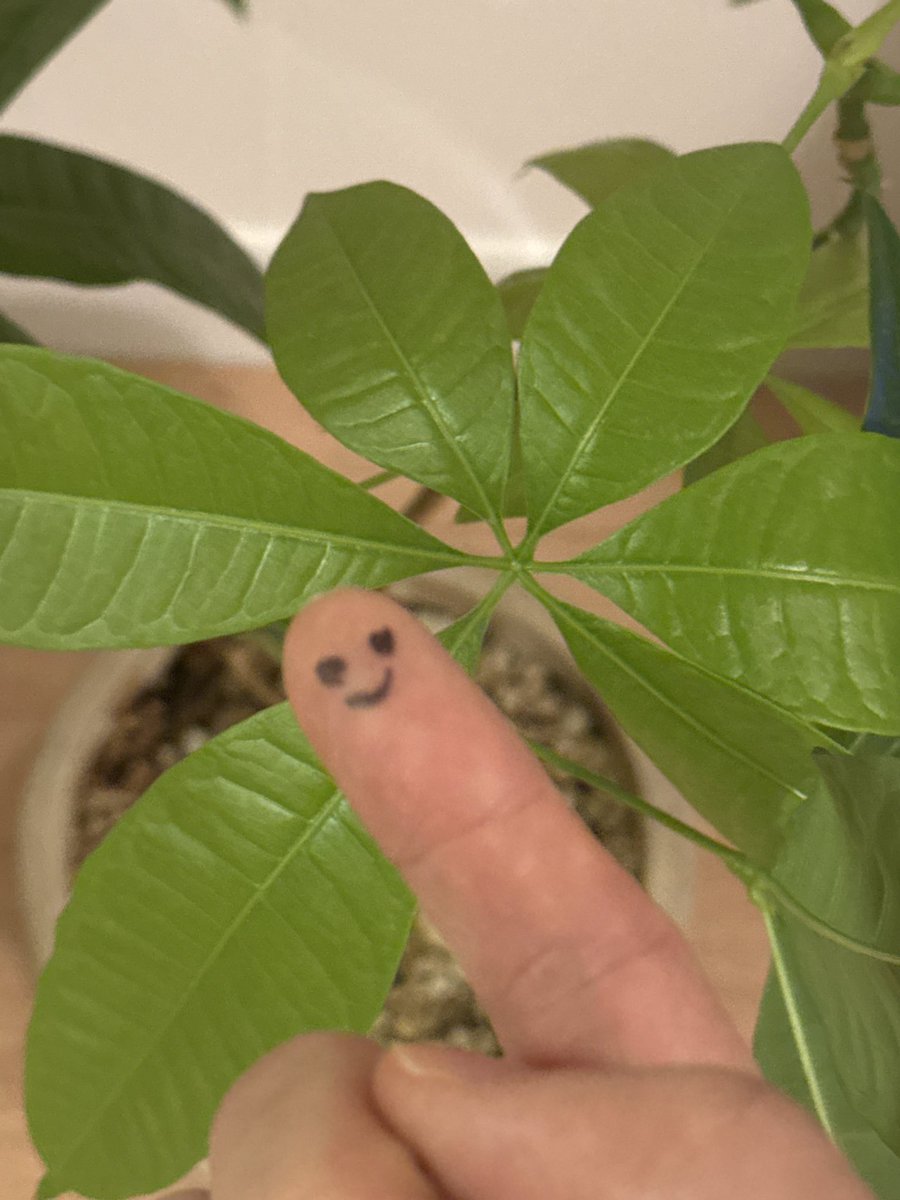 김병주 빵둥이들한테 묵찌빠 지고 벌칙으로 이거 셀카라고 주섬주섬 가지고왔어...
진짜 오늘 귀여워서 죽는날인가요? #병주