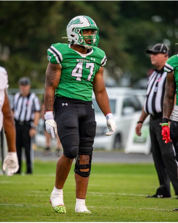 Arkansas–Monticello Boll Weevil offered!!   <a href="/Garywalker96/">GFUNK</a>