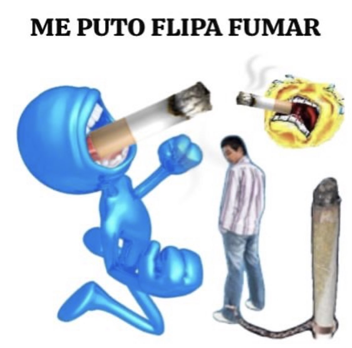 esqueleto trompeta (@wikiesqueletos) on Twitter photo 