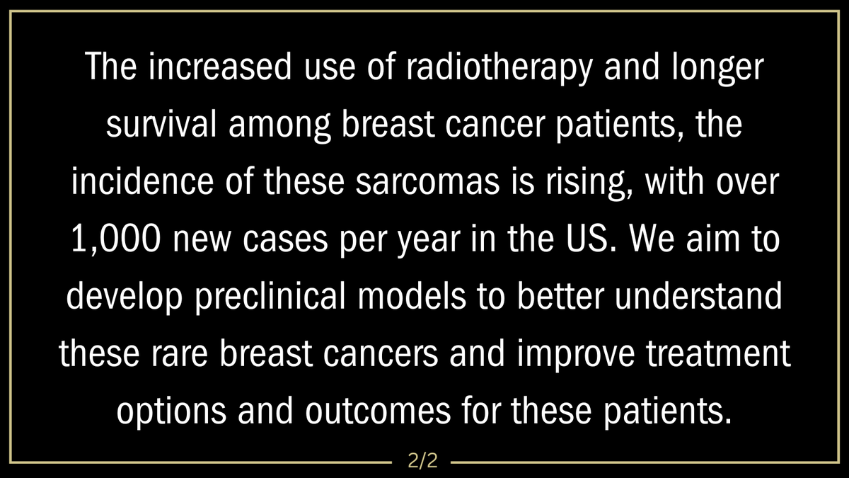 With over 1,000 new cases each year in the United States, one of our faculty is working to develop better models and treatments to improve patient outcomes.💖

#Purduebiology #Purduescience #biology #BreastCancerResearch
Purdue University College of Science