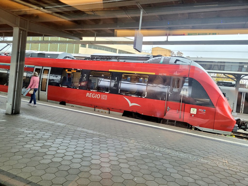 Ein "alter" Frankfurter Hamster fernab der früheren Heimat.
Stralsund -> Greifswald.
#Bahntweet