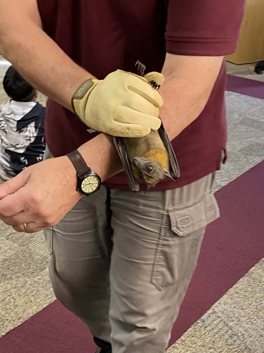 Lake County Public Library tweet media