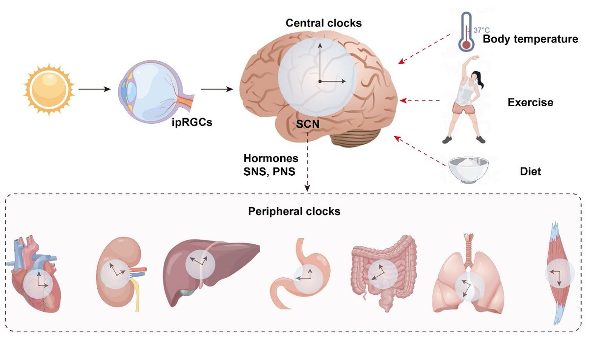 Manousos Varouxakis tweet media