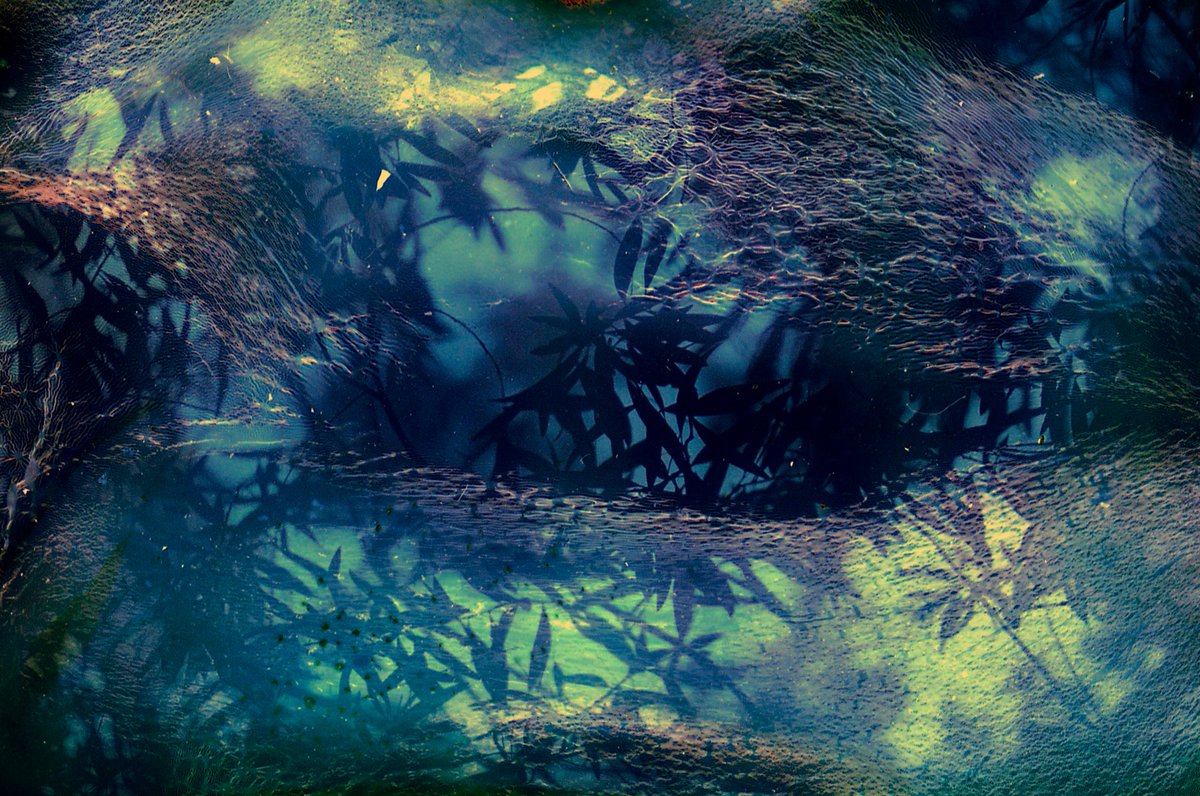 iridescence