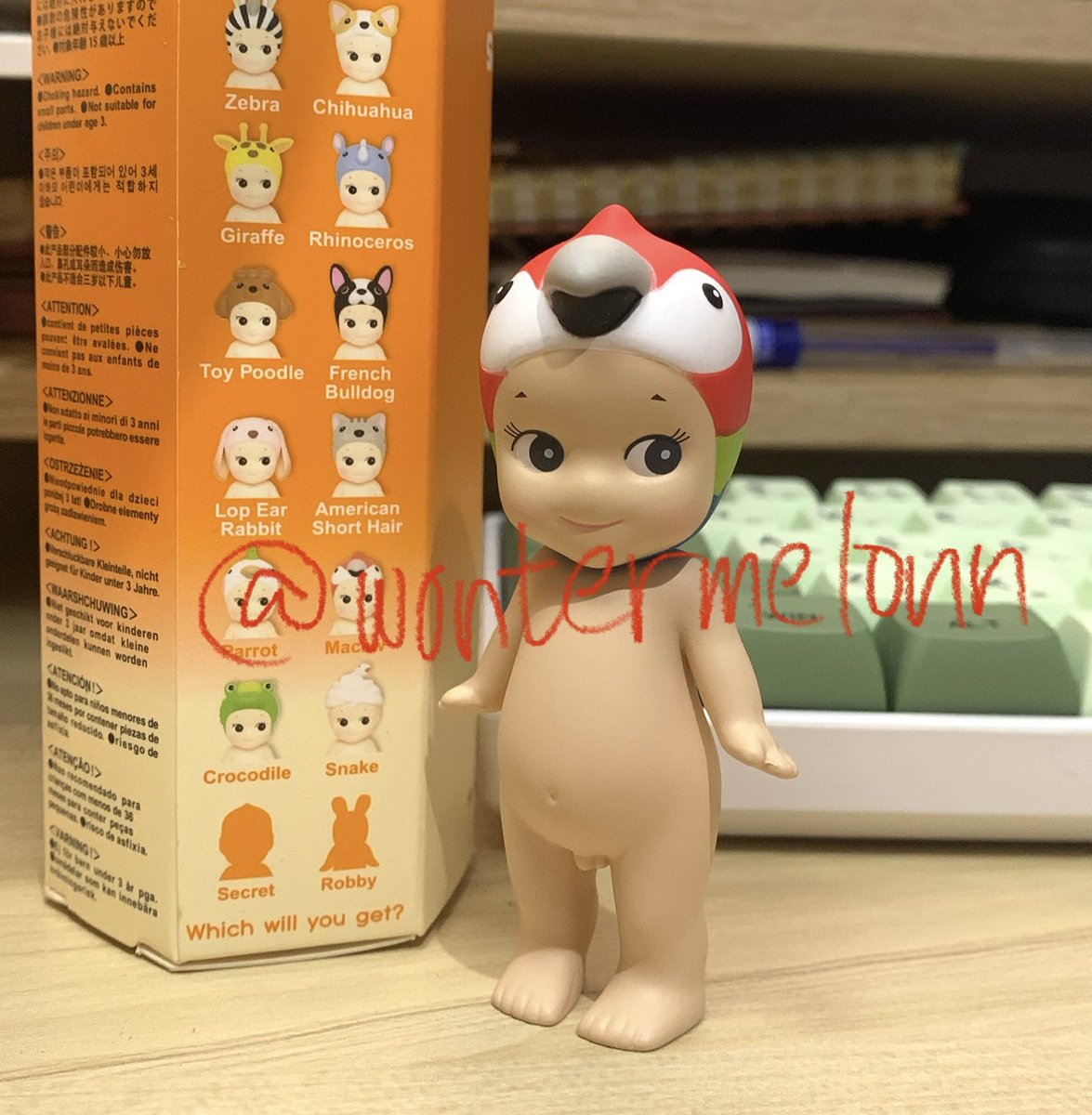 wontermelonn's tweet photo. wts lfb ph | sonny angel animal series Macaw 🦜
— php 380 + sf
— mint condi (never used)
— comes with box and foil
— rfs: decluttering
loc: malate, manila
reply/dm to claim ~~
t: sonny angel #bns #bnsph wtb lfs merch https://t.co/Vk7Q3V0CgB