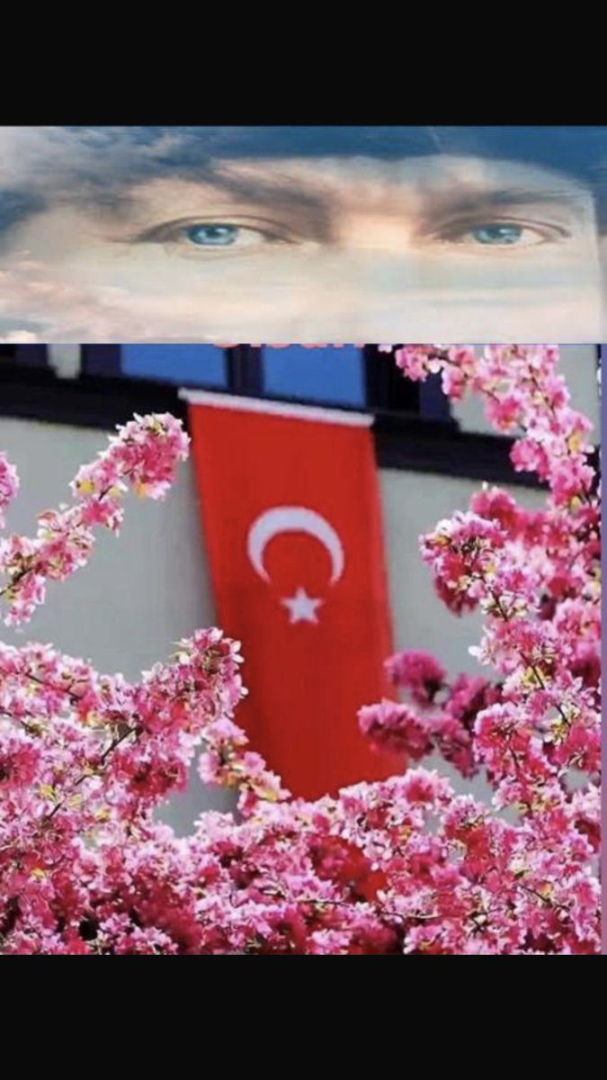 Erhan (@erhan_yigitali) on Twitter photo 