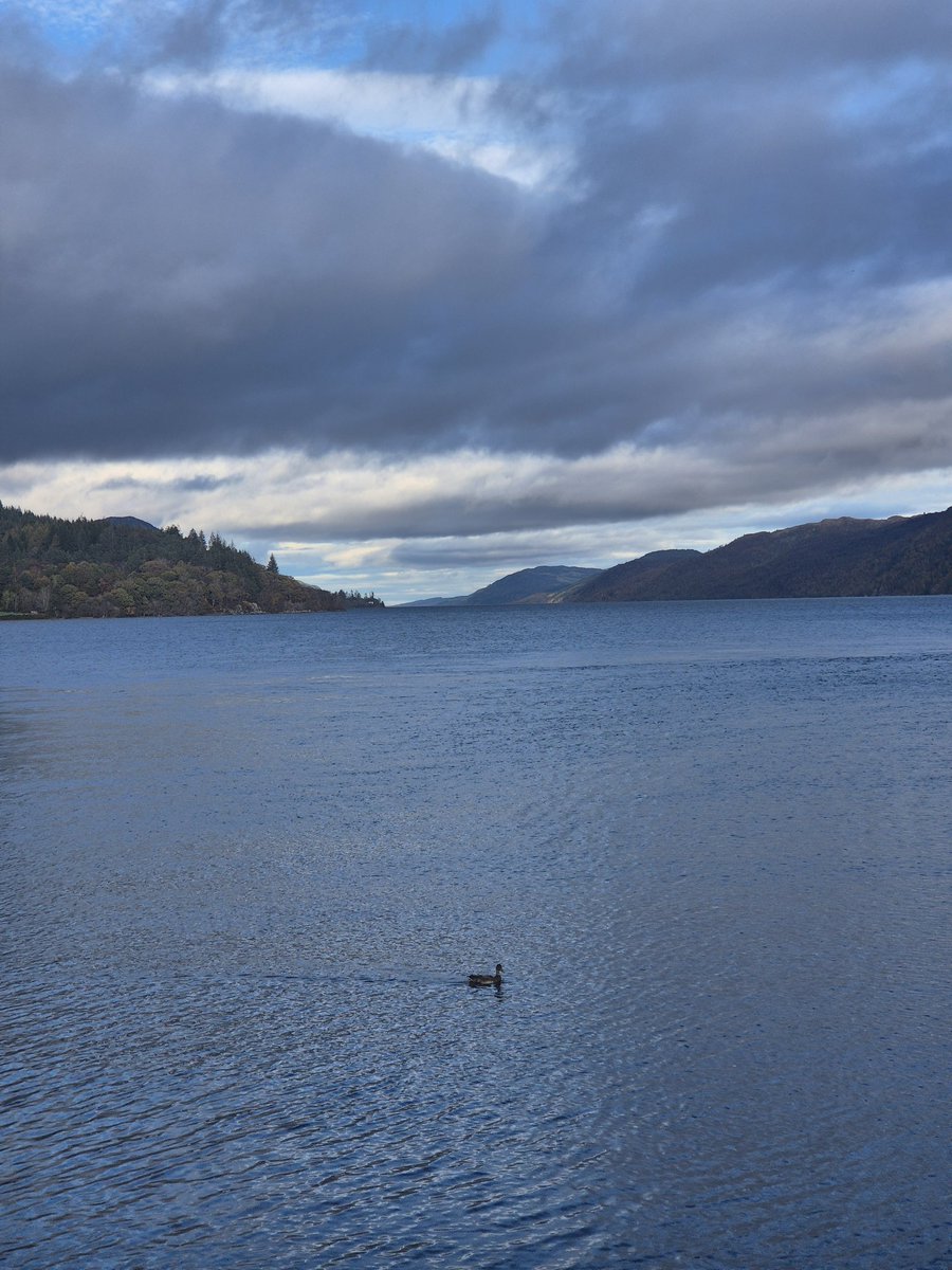 Out hunting for the loch Ness monster today