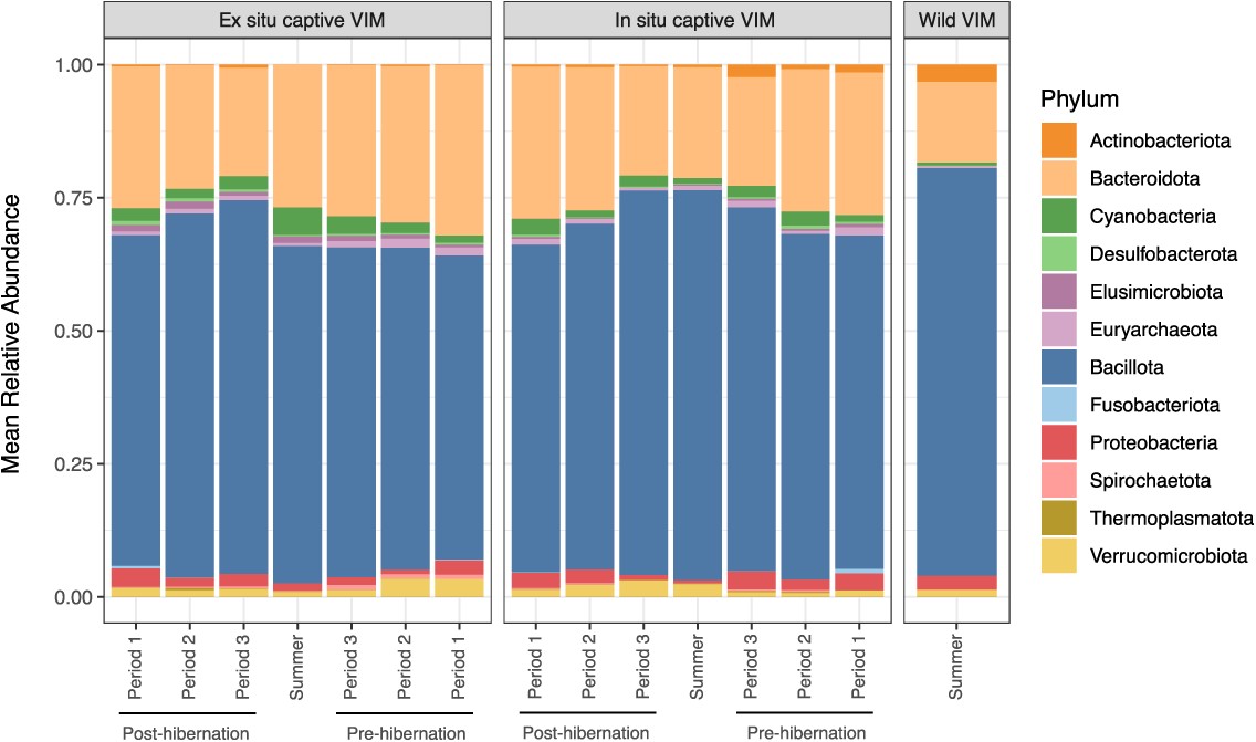Could mortality in reintroduced populations be linked to an altered gut microbiome?  What are the implications for conservation? Read this study on marmots to find out! 

Read it here: doi.org/10.1093/conphy…

#CaptiveBreeding #Microbiome 🦠