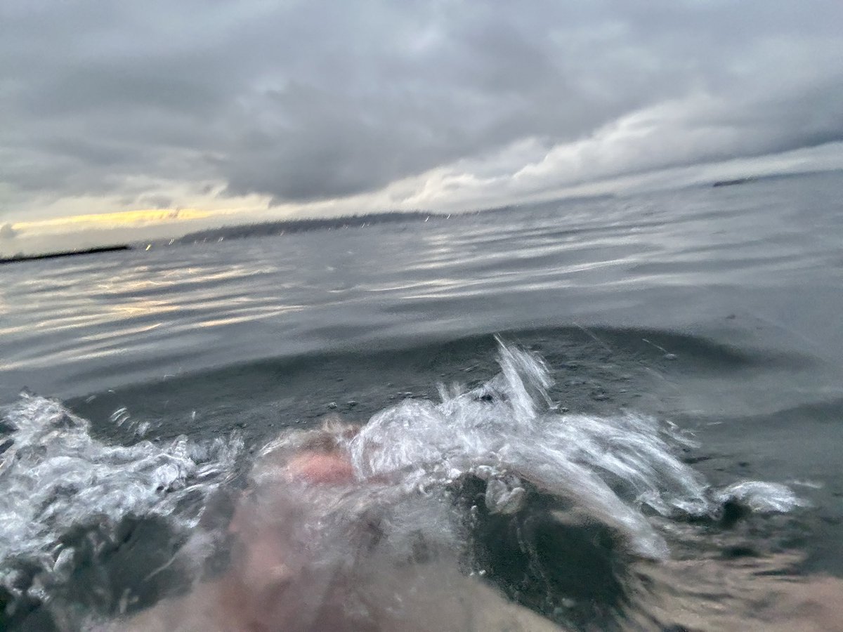 Peter Noble tweet media