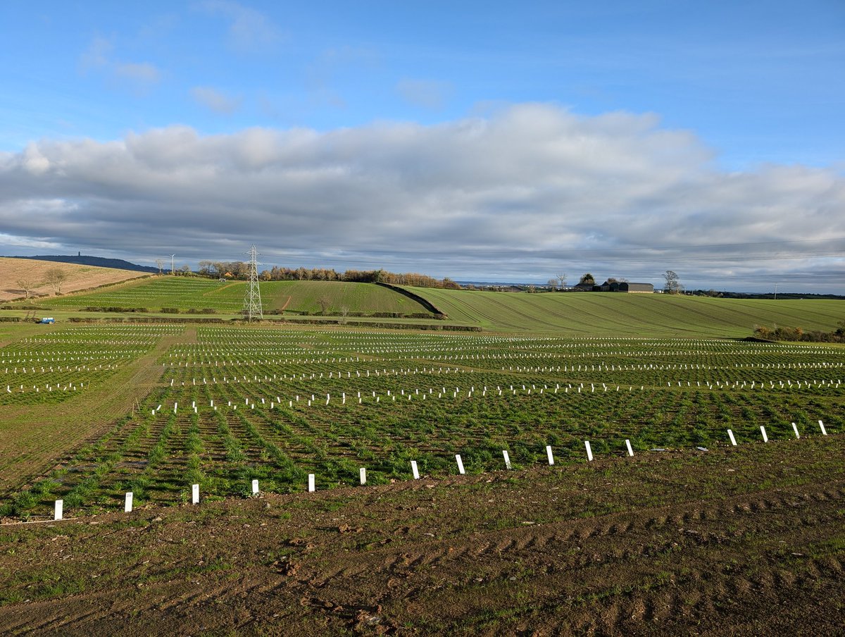 DUS fields <a href="/afbi_cross/">AFBI Crossnacreevy</a> looking well in the October sunshine ☀️ <a href="/AFBI_NI/">AFBI</a>