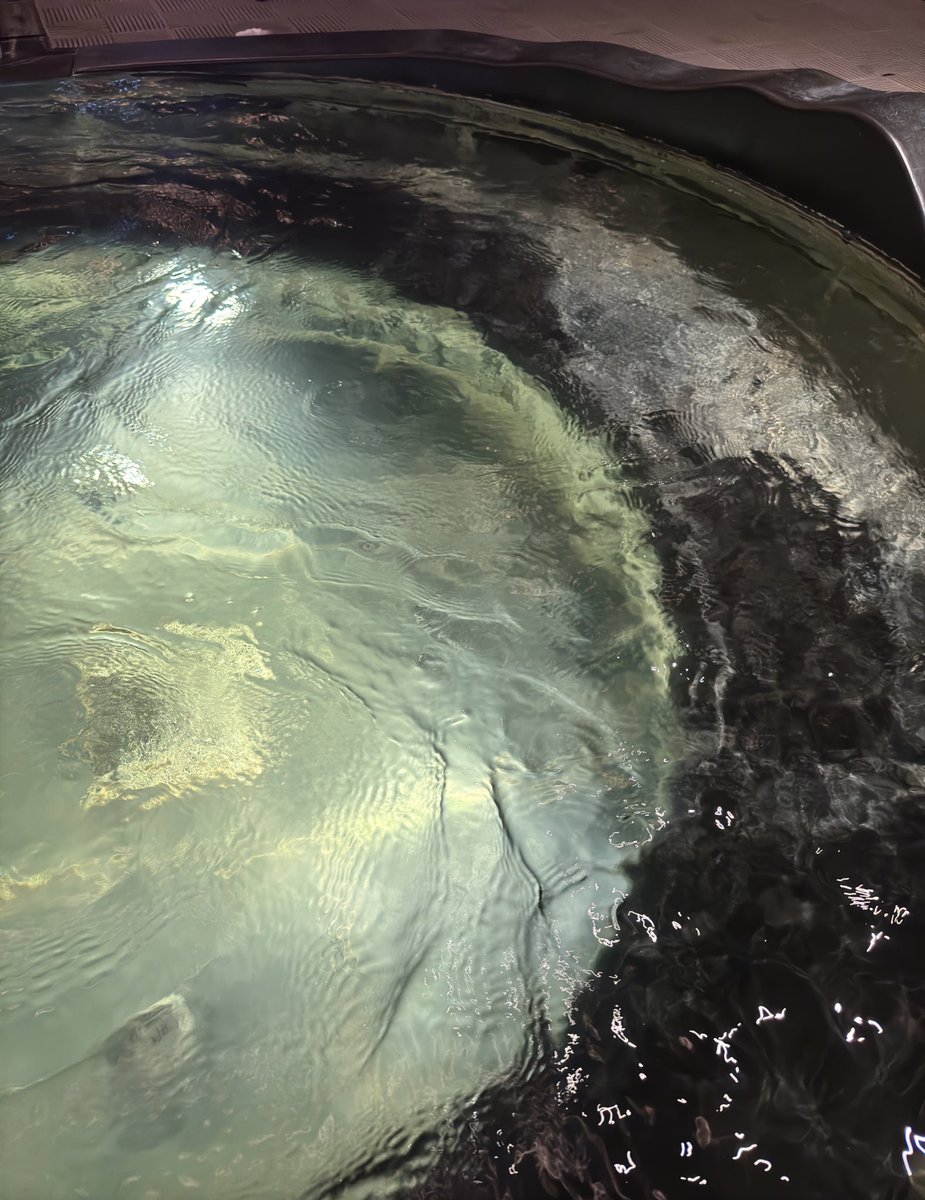 Yuanzimi's tweet photo. health by water 🥀🛁 https://t.co/aHPqsST8MU