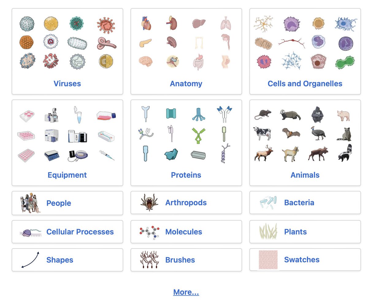 Alvaro Curiel-García, PhD tweet media