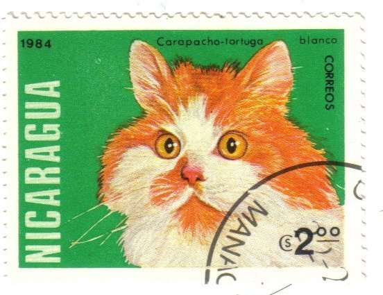 Stamps Bot (@stampsbot) on Twitter photo 