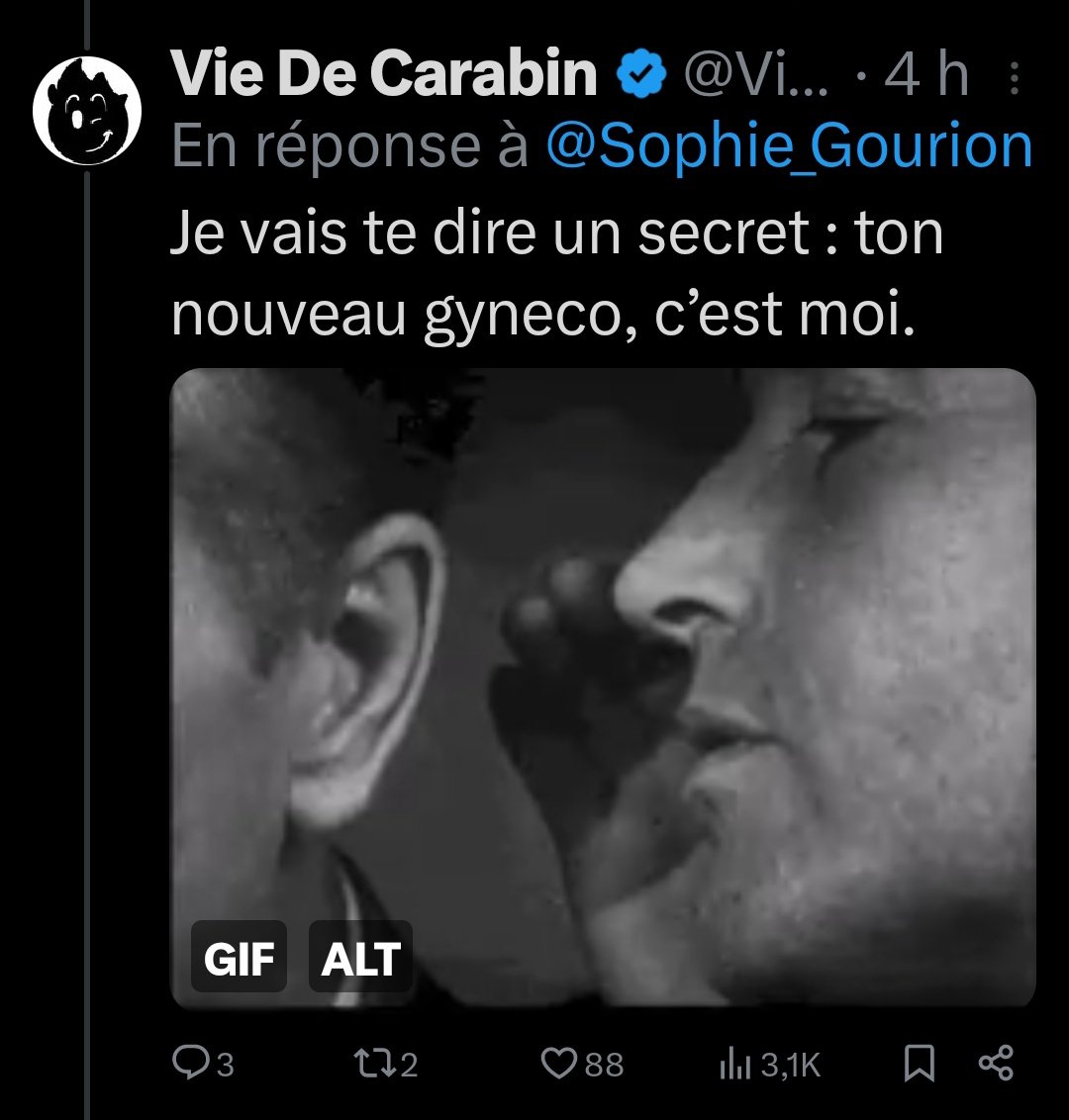 Sophie Gourion 👁️‍🗨️ tweet media