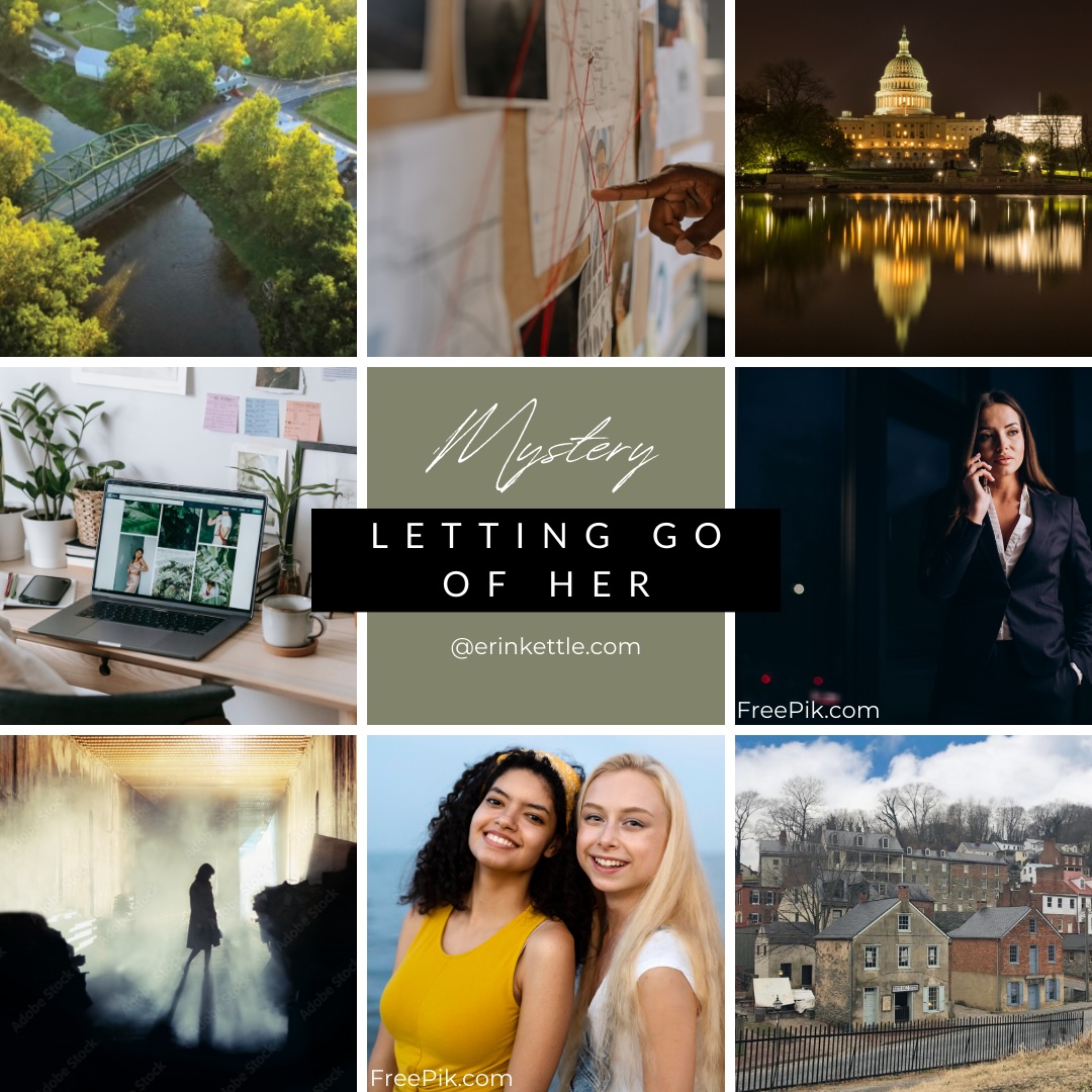 ekettle's tweet photo. Secret Service Agent Isa Campos returns to her stifling hometown to recover from taking a bullet to save the first female President. Past and present collide as Isa, &amp; her largely inappropriate best friend, poke around in all the wrong places. #QuestPit #Q #M https://t.co/74PRGg1bRm