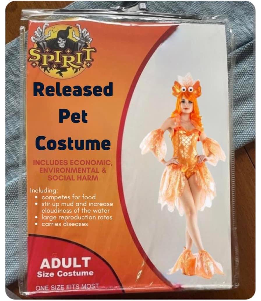 Looking for a last minute costume idea?

We’ve gotcha covered!

#HappyHalloween