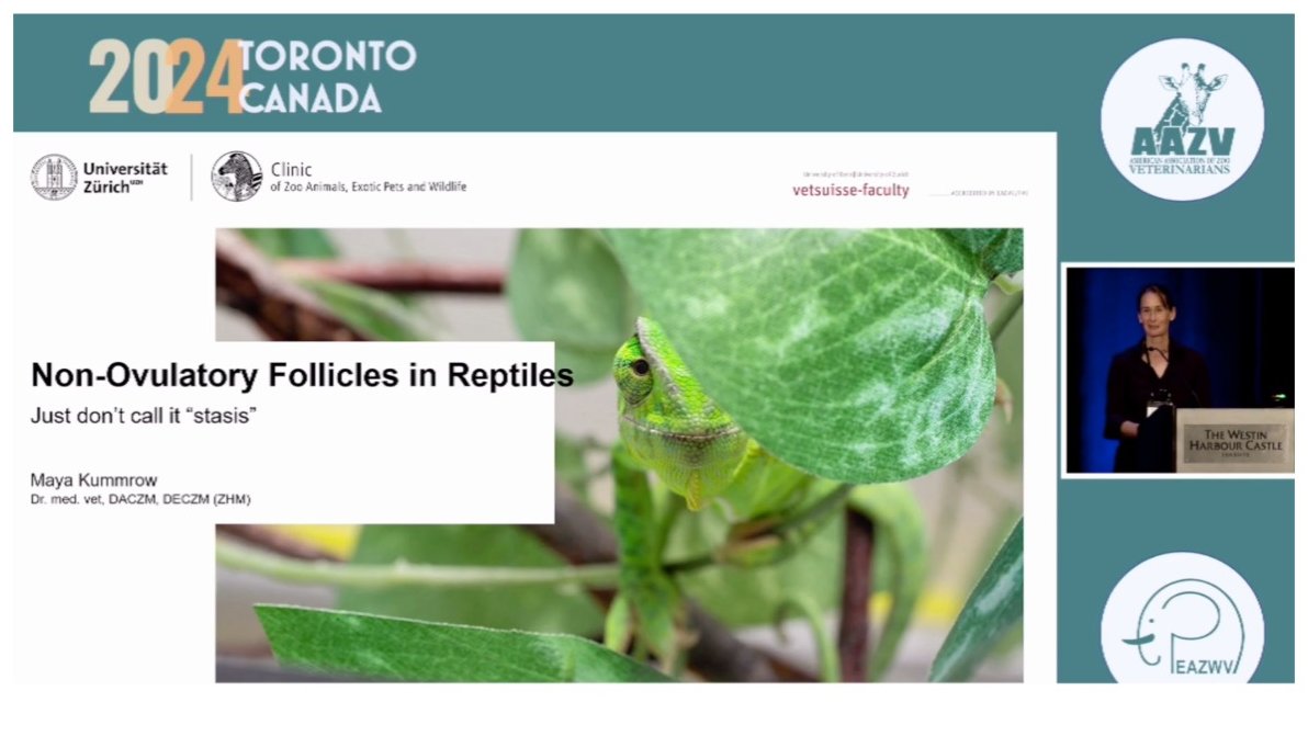 Clinic for Zoo Animals, Exotic Pets and Wildlife tweet media