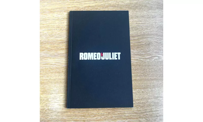 Tom Holland Brasil tweet media