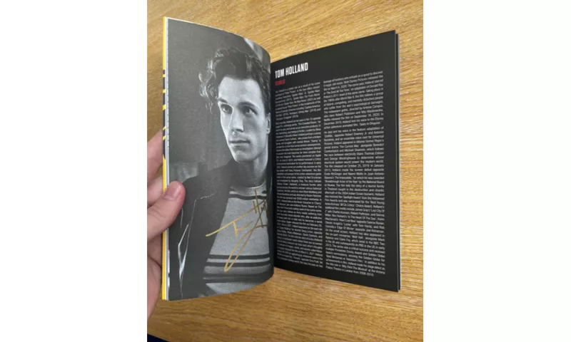 Tom Holland Brasil tweet media