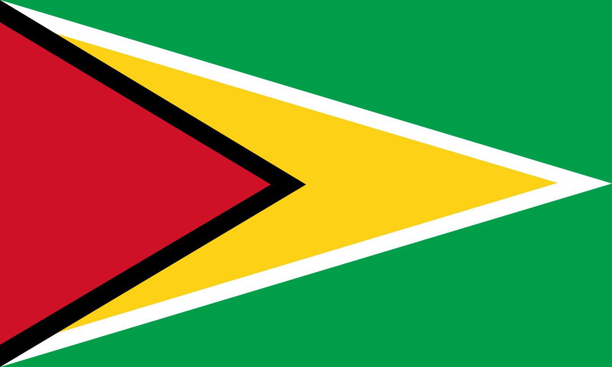 AmanIslamNY's tweet photo. One thing about us Caribbeans: We rep our flag, and we are proud to be American. 

The way they speak about Puerto Rico &amp; Haiti, is how they speak about all of us. 

And we vote, and we vote, and we vote. 

This Guyanese, voted for @KamalaHarris. 

Our first Caribbean President. https://t.co/Yoc5TfwTRO
