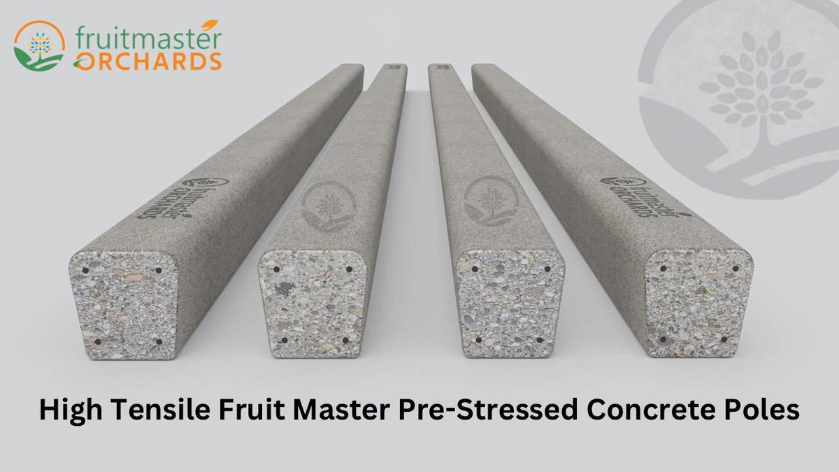 fruitmasteragro's tweet photo. Using Fruit Master pre-stressed concrete poles makes orchards sustainable for generations. Their durability, resistance to corrosion, and ability to withstand environmental stress mean they can serve orchards for decades without degradation. https://t.co/udTjX1vMD7