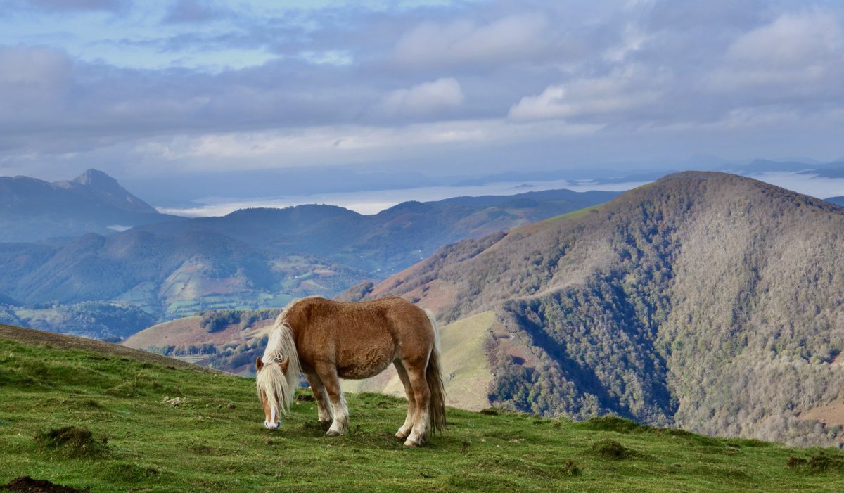 Erakurri mendiaren gailurrera heltzean, Eguzkiko muñoa mendia atzean duela eta urrunean Txindoki mendia