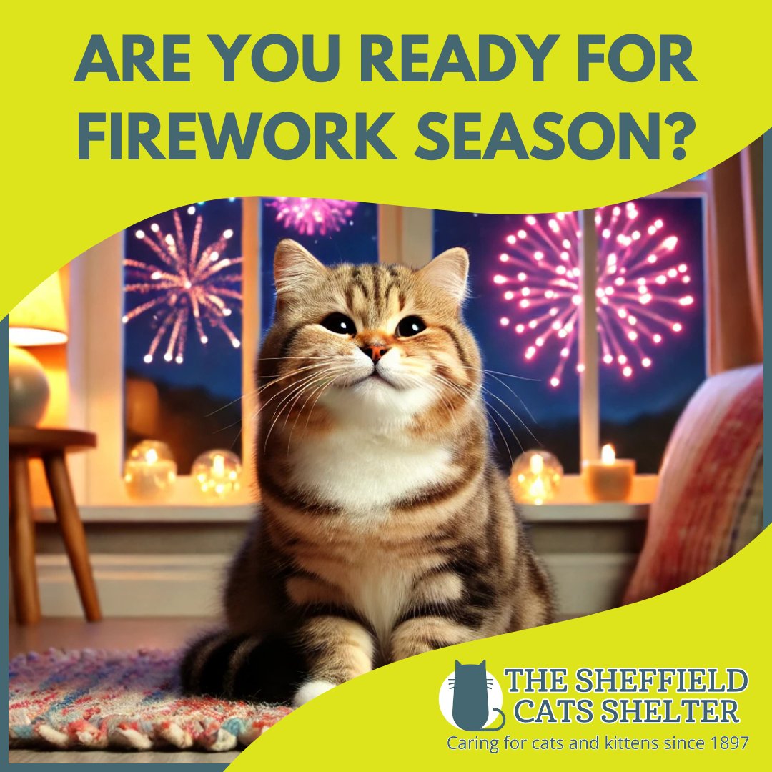 Firework season can be really stressful for cats🐈‍⬛

One way to help your cat stay calm is keep them inside and provide a safe space for them 🔐

For any additional advice, please read our blog: thesheffieldcatsshelter.org/how-to-keep-yo…