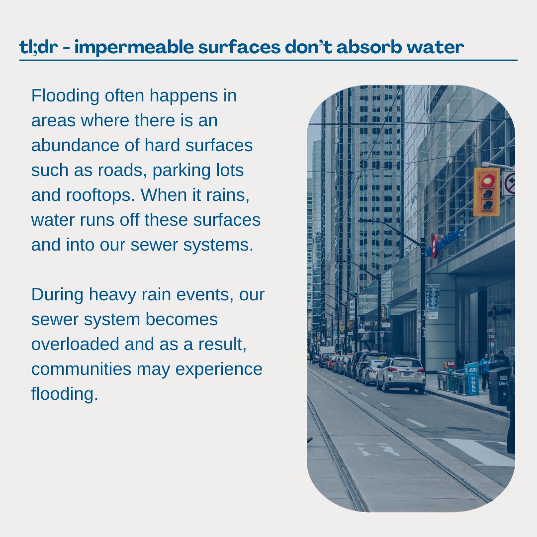 Live Green Toronto tweet media