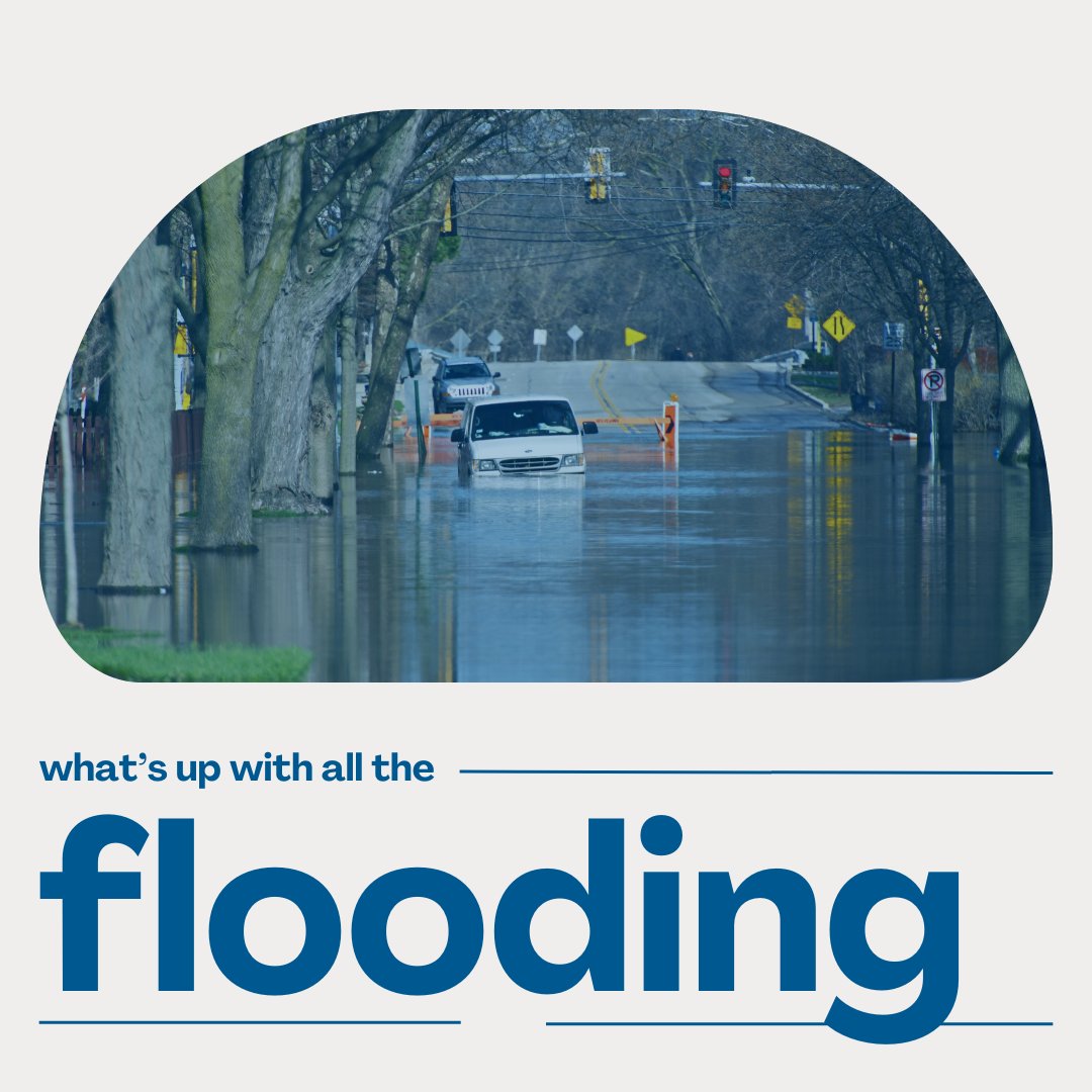 Live Green Toronto tweet media