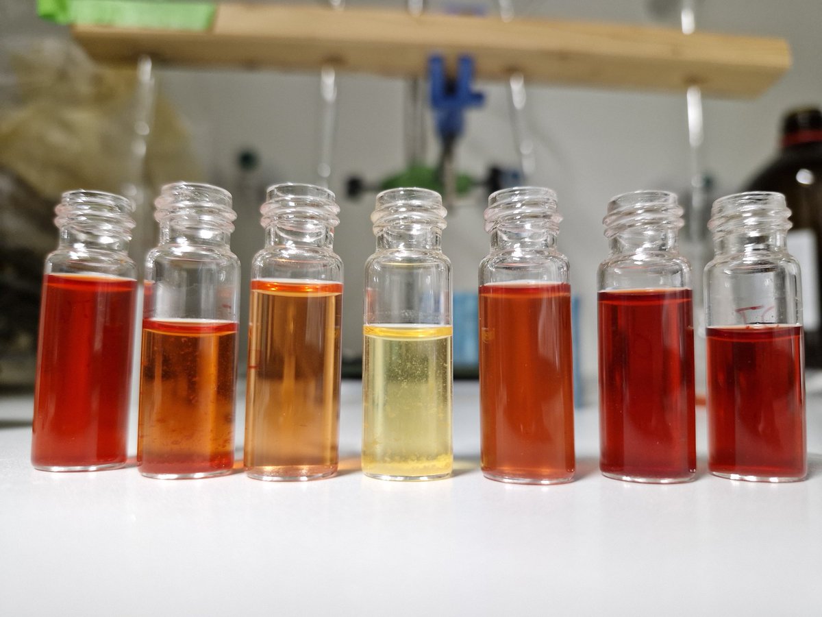 I'll give you one guess which one of these SM extractions is the mutant? 😂🧪

<a href="/Fabiteam1/">FABI</a> <a href="/mycobiomics/">Mycobiomics</a> <a href="/AITtomorrow2day/">AIT</a> <a href="/BOKUvienna/">BOKU University</a>