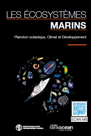 Fonds français pour l'environnement mondial (FFEM) (@ffem_fr) on Twitter photo Available here our guide in partnership with <a href="/TaraOcean_/">Fondation Tara Océan</a> about "Marine ecosystems : ocean plankton, climate and development" (only in French at this time. English coming soon in 2025)🔎bit.ly/4aP3Wfe Available here our guide in partnership with <a href="/TaraOcean_/">Fondation Tara Océan</a> about "Marine ecosystems : ocean plankton, climate and development" (only in French at this time. English coming soon in 2025)🔎bit.ly/4aP3Wfe
