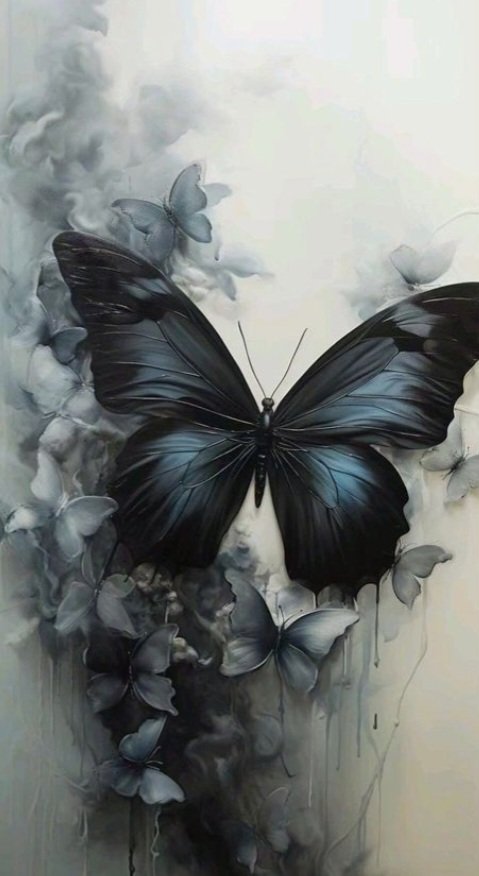 leoamman@Amer tweet media