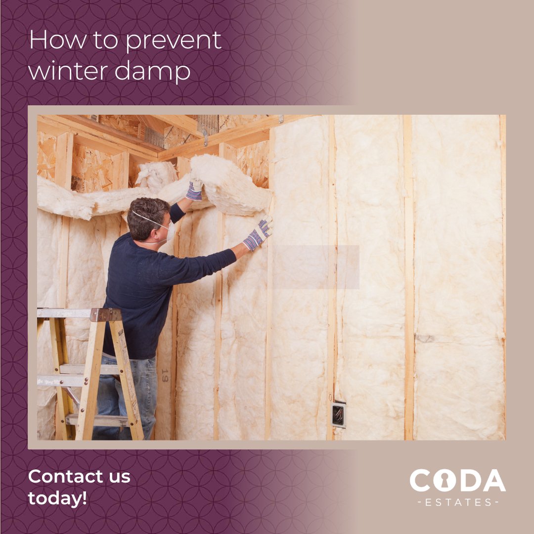 Codaestates's tweet photo. Key prevention tips include ventilating spaces, using extractor fans, dehumidifiers, and heating efficiently.

Look for early signs like musty smells, mould, and peeling paint.

For more advice, contact our team: https://t.co/YwDyktDrwM https://t.co/iyNQkPWmne