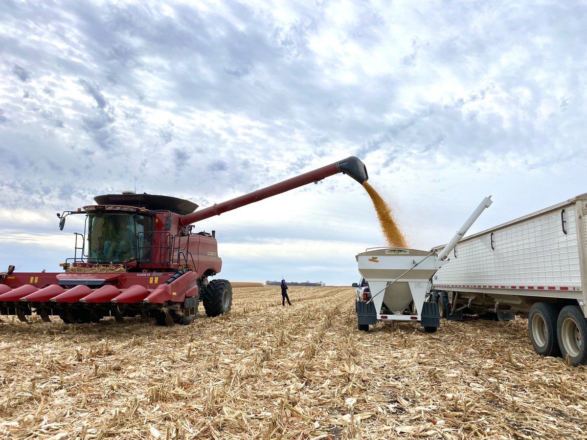 DebKAnderson's tweet photo. It’s a good day to finish our plots!   Thanks to Curt, David, and Daniel Novotny for their help!!
#wrapup2024
#bigyields   #2024weatherstory ⁦@Asgrow_DEKALB⁩ ⁦@SDDEKALBASGROWA⁩ ⁦@DKAS_ND_N_MN⁩ https://t.co/lkDT54UKpA