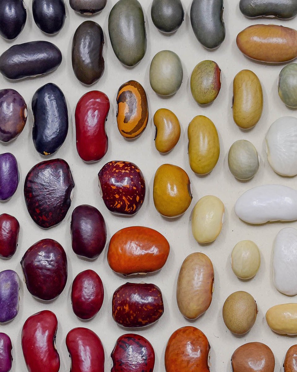 Jonas Frei tweet media