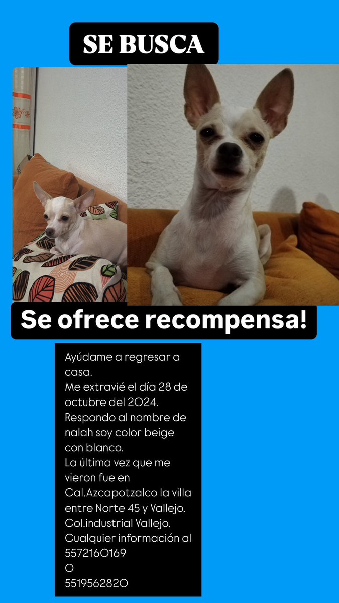AbigailMex's tweet photo. @telediario @telediario https://t.co/tTc6bT2utI