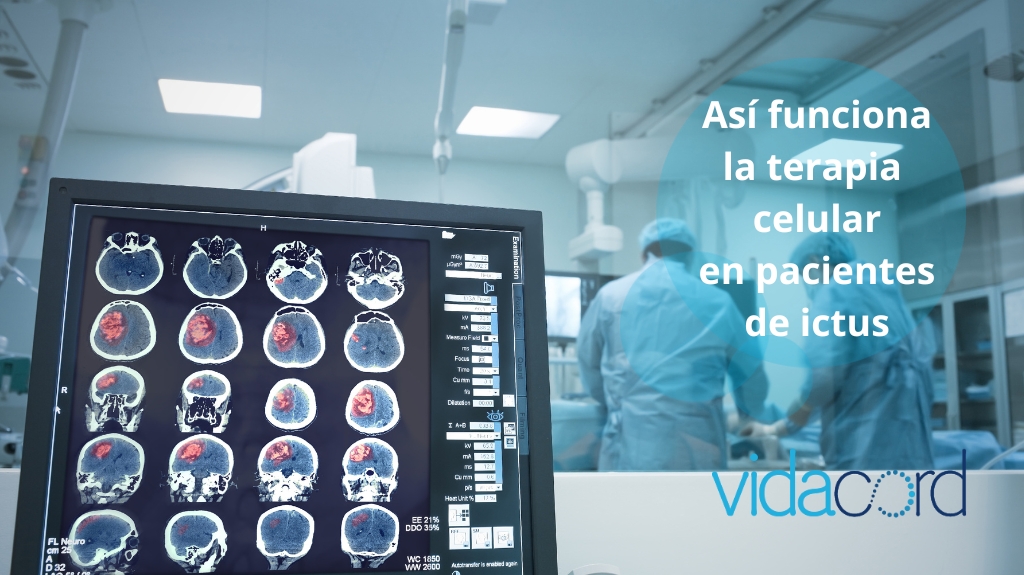 VidaCord tweet media