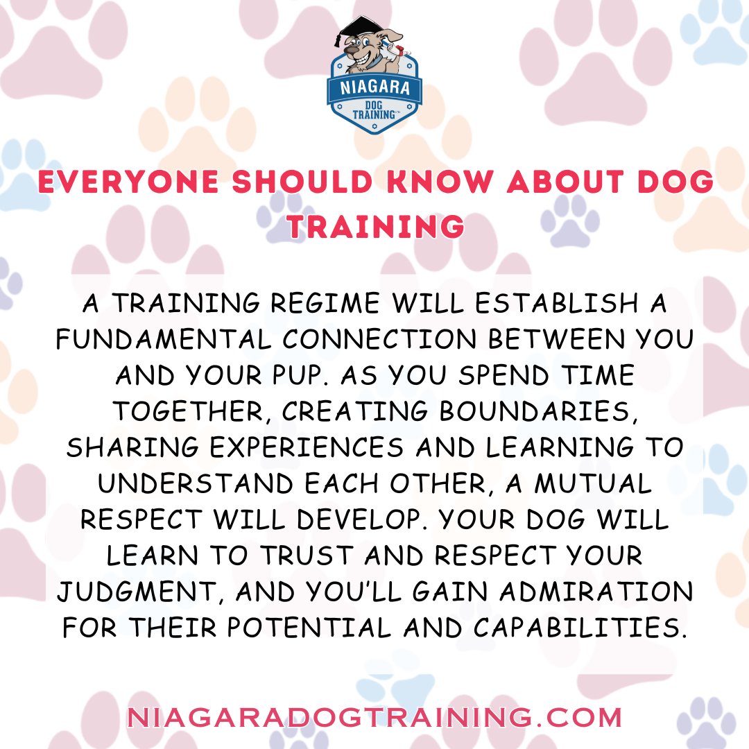 🎓🏠 Training is crucial for a harmonious relationship with your pup! 🏠💓 At Niagara Dog Training, deepen your mutual understanding and trust. Be amazed by your dog's potential. Let's build a remarkable bond together! #HarmoniousRelationship #RemarkableBond #NiagaraDogTraining