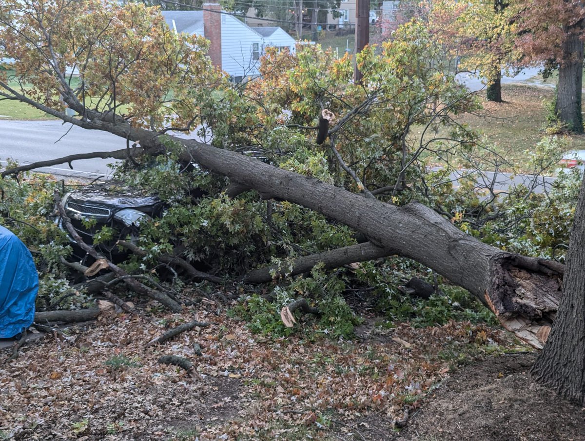 ThatITGuyMatt's tweet image. Well, what I was trying to avoid happened. We had some high winds and it ripped another branch from the tree and landed on my neighbors car. This tree needs to GO! gofund.me/bada0b22 
#gofundmedonations #highwinds #AskingForHelp