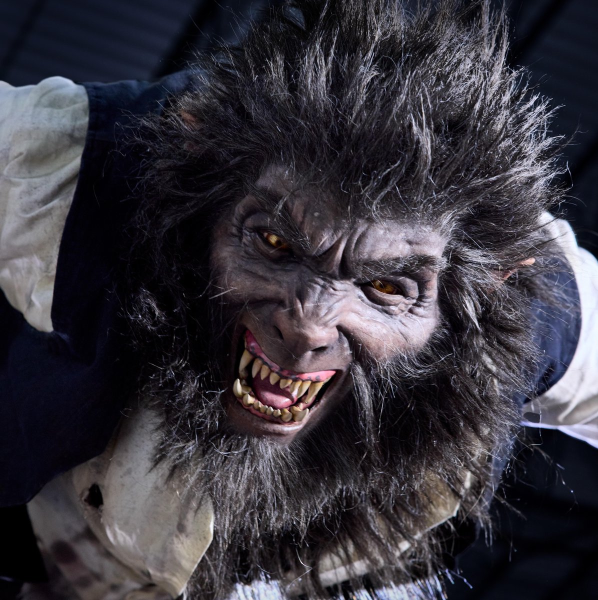 UniversalORL's tweet photo. Meet some of the animated figures in Monsters Unchained: The Frankenstein Experiment, coming to Universal Epic Universe. 

Visit the link to learn more: https://t.co/tfhMxLPwhe https://t.co/Cq7qdpRuvy